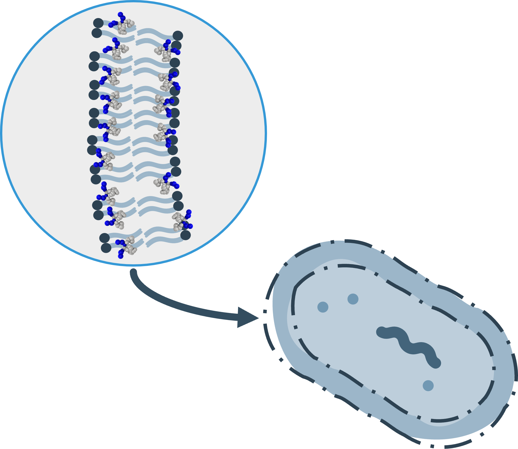 Antimicrobial technology 9